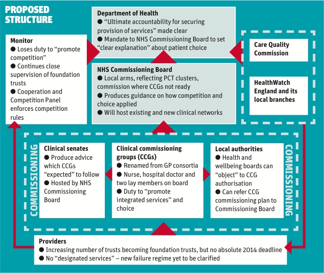 New Nhs Structure